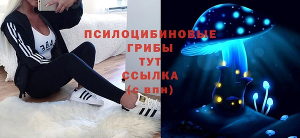 прущие крисы Верея