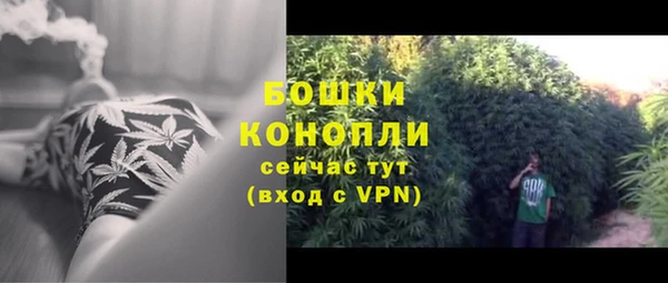 прущие крисы Верея