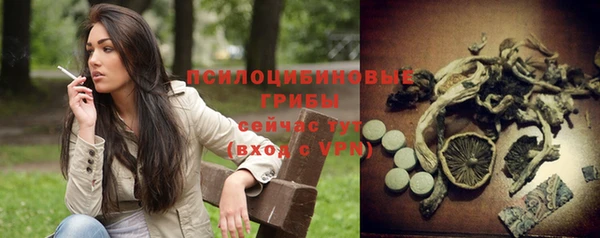 альфа пвп Верхнеуральск