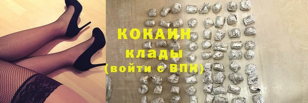 прущие крисы Верея
