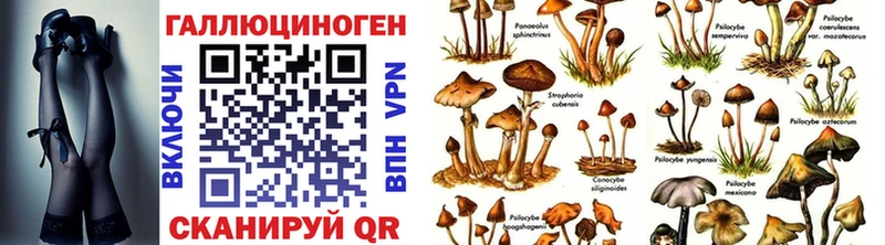 закладки  Оханск  blacksprut онион  Галлюциногенные грибы MAGIC MUSHROOMS 